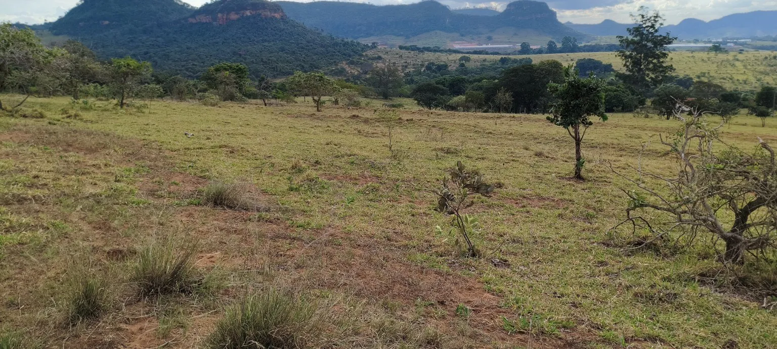 Área aberta com árvores esparsas e morros ao fundo