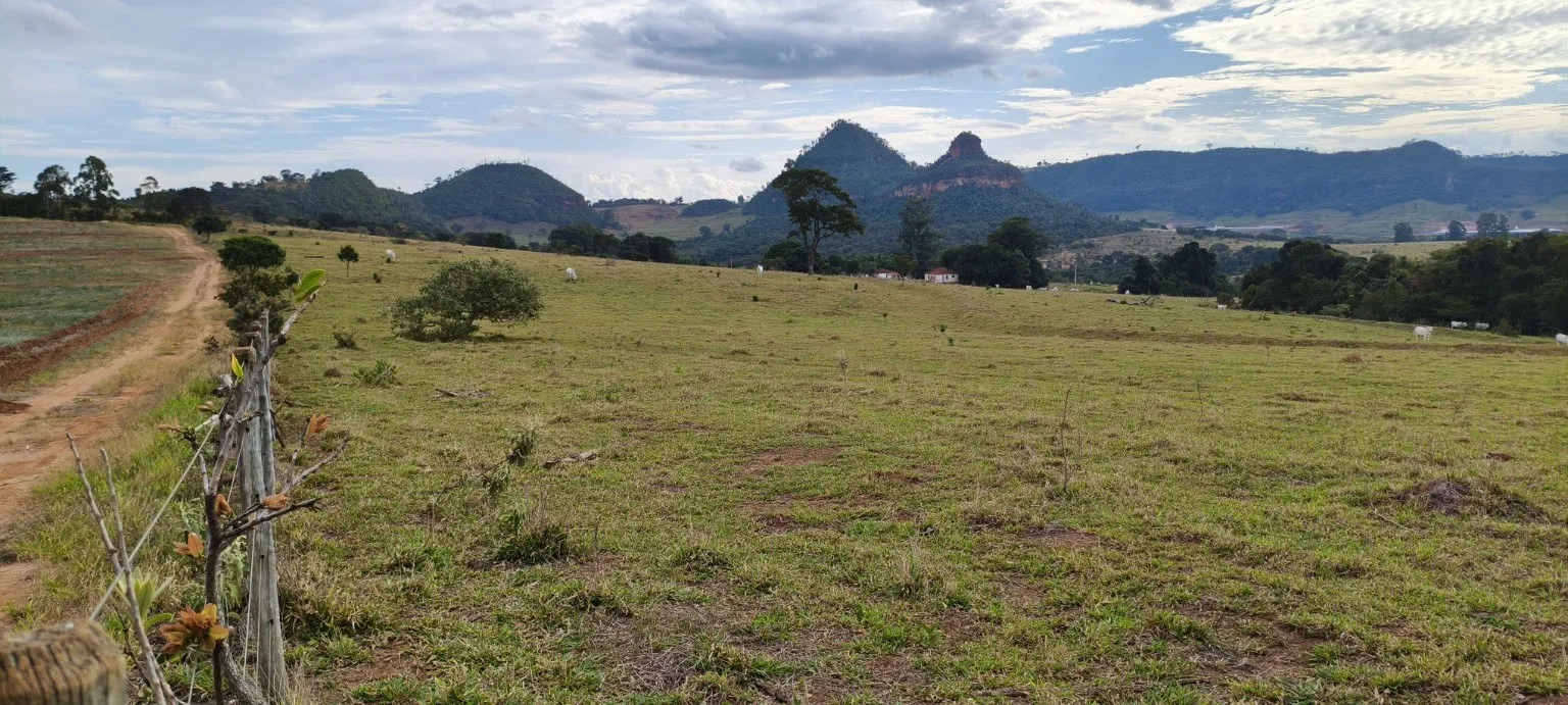 Pastagem com gado, estrada de terra e construções rurais, com morros ao fundo