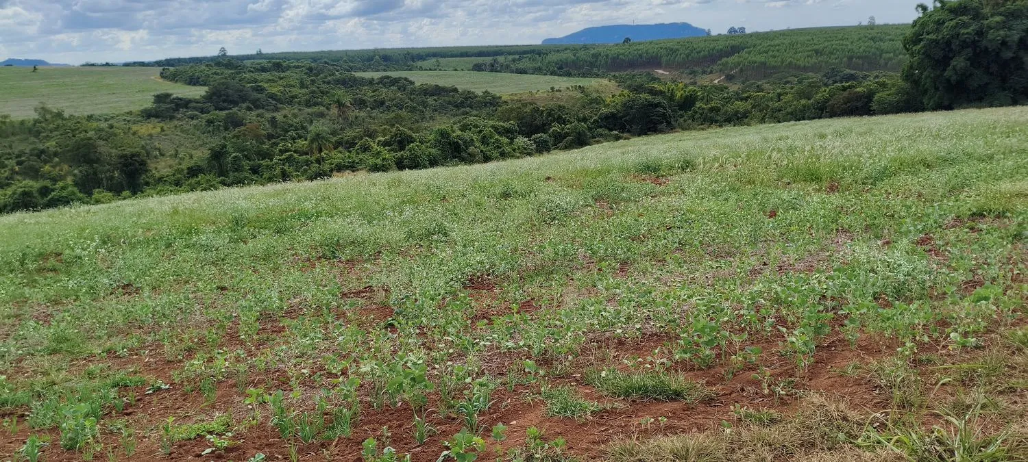 Vale com vegetação e plantios ao fundo