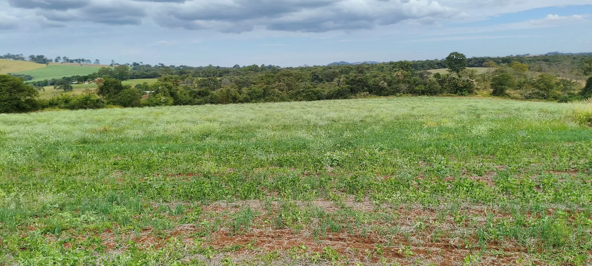 Área aberta do Sítio Monte Alto com mata nativa e céu amplo