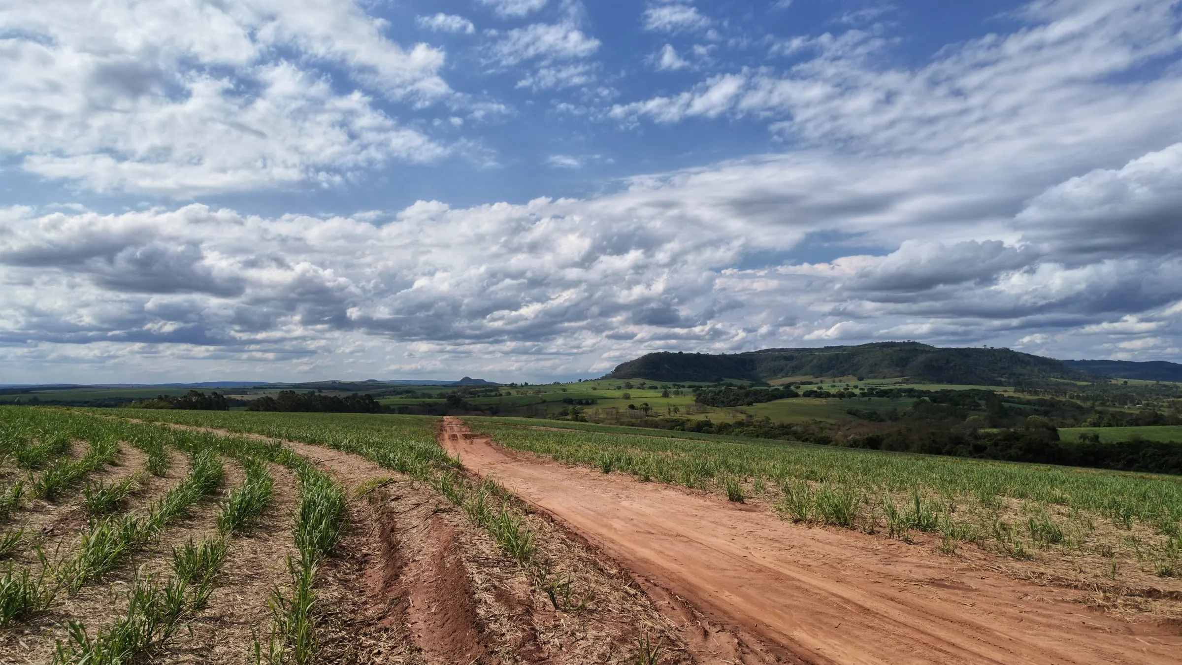 Estrada de serviço entre os talhões de cana, com a serra no horizonte