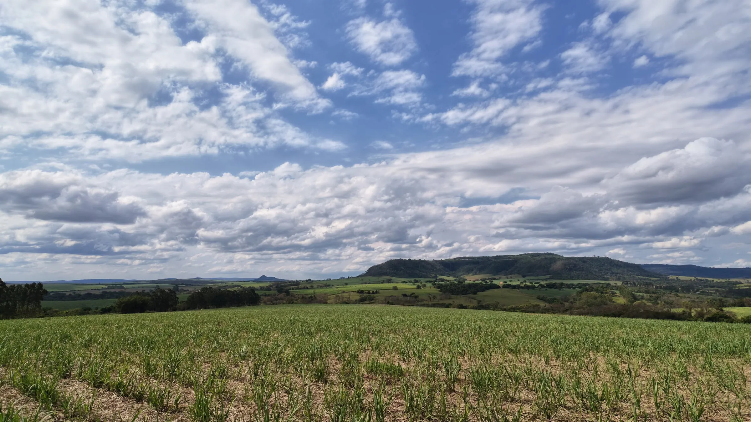 Panorama da área de cana-de-açúcar com serra ao fundo