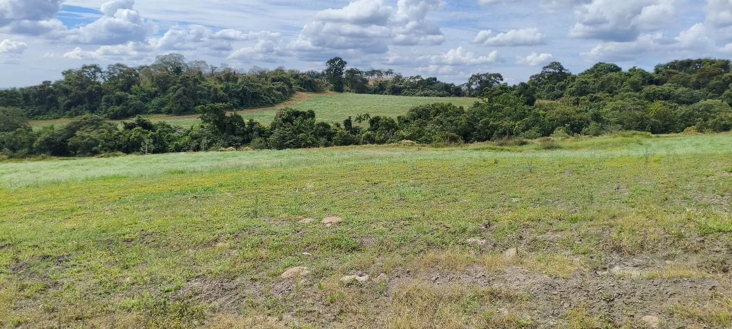 Área aberta do Sítio Monte Alto