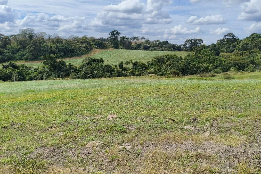 Área aberta do Sítio Monte Alto