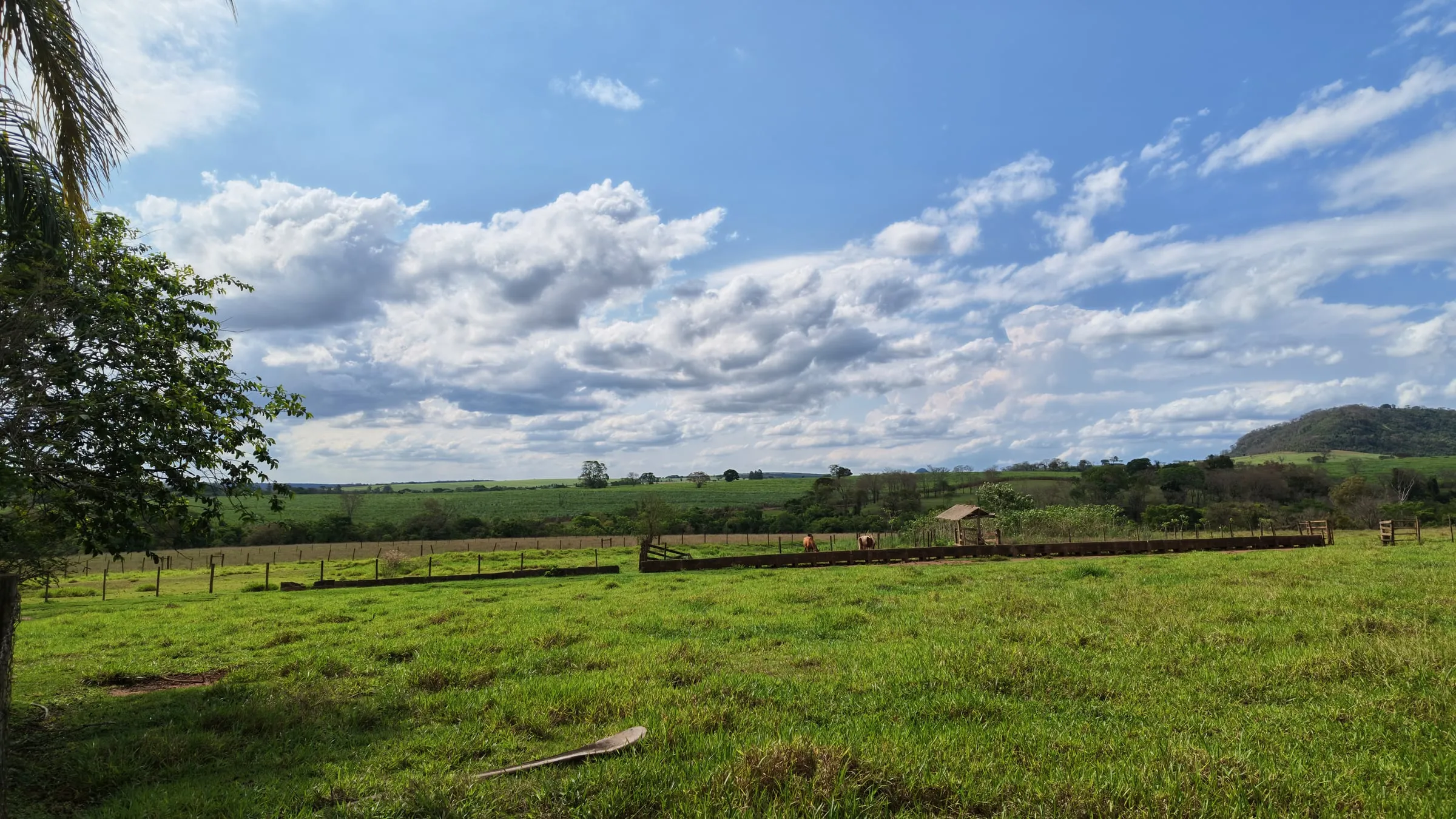 Pastagem cercada da Fazenda Santa Rita de Cássia